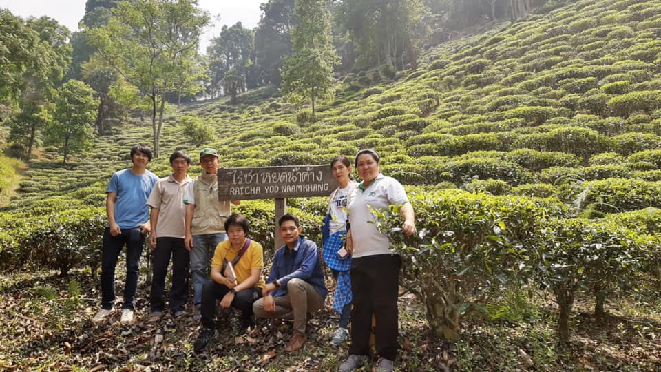 สถาบันชาและกาแฟร่วมลงพื้นที่ตรวจติดตามสถานประกอบการที่ได้รับอนุญาตให้ใช้ตราสัญลักษณ์สิ่งบ่งชี้ทางภูมิศาสตร์ GI “ชาเชียงราย”