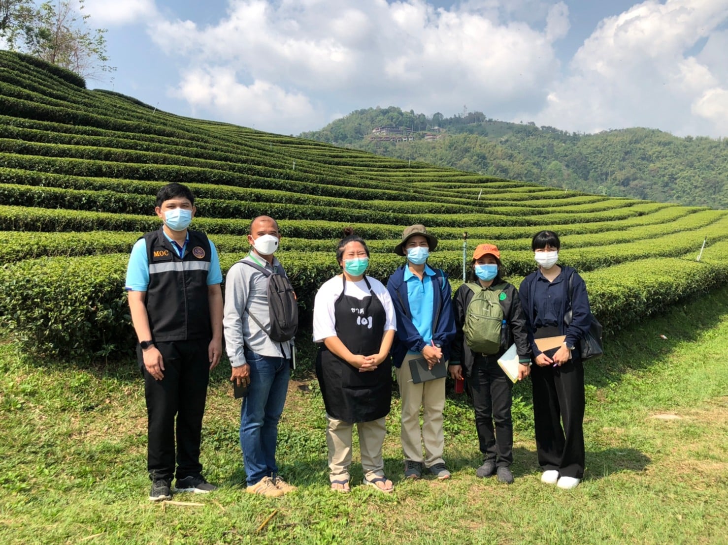 สถาบันชาและกาแฟร่วมลงพื้นที่ ตรวจสอบควบคุมคุณภาพสิ่งบ่งชี้ทางภูมิศาสตร์ “ชาเชียงราย”