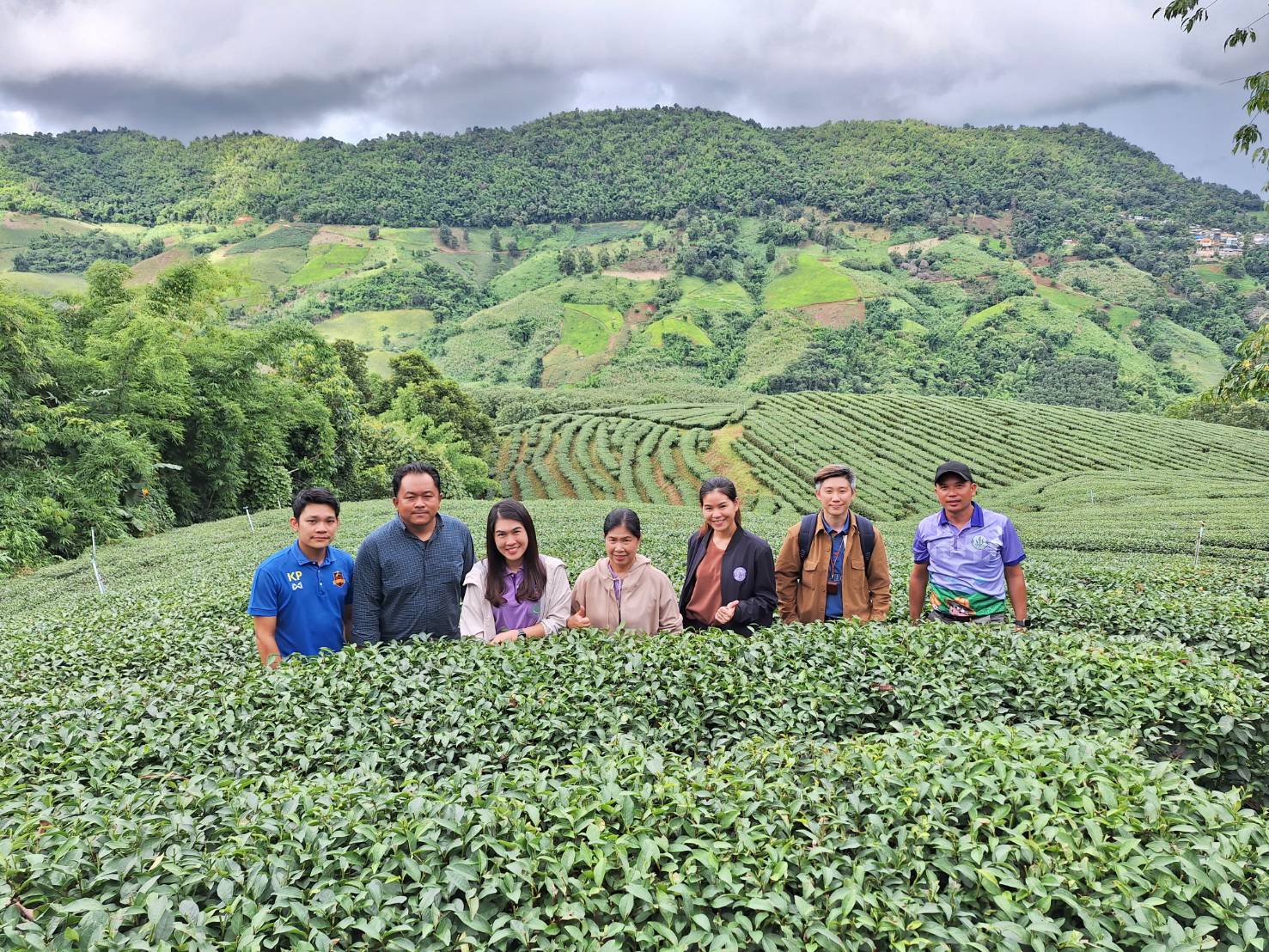 สถาบันชาและกาแฟร่วมลงพื้นที่ ตรวจสอบควบคุมคุณภาพสิ่งบ่งชี้ทางภูมิศาสตร์ “ชาเชียงราย”