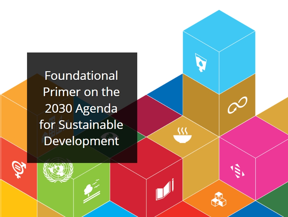 The SDG Primer E-Course